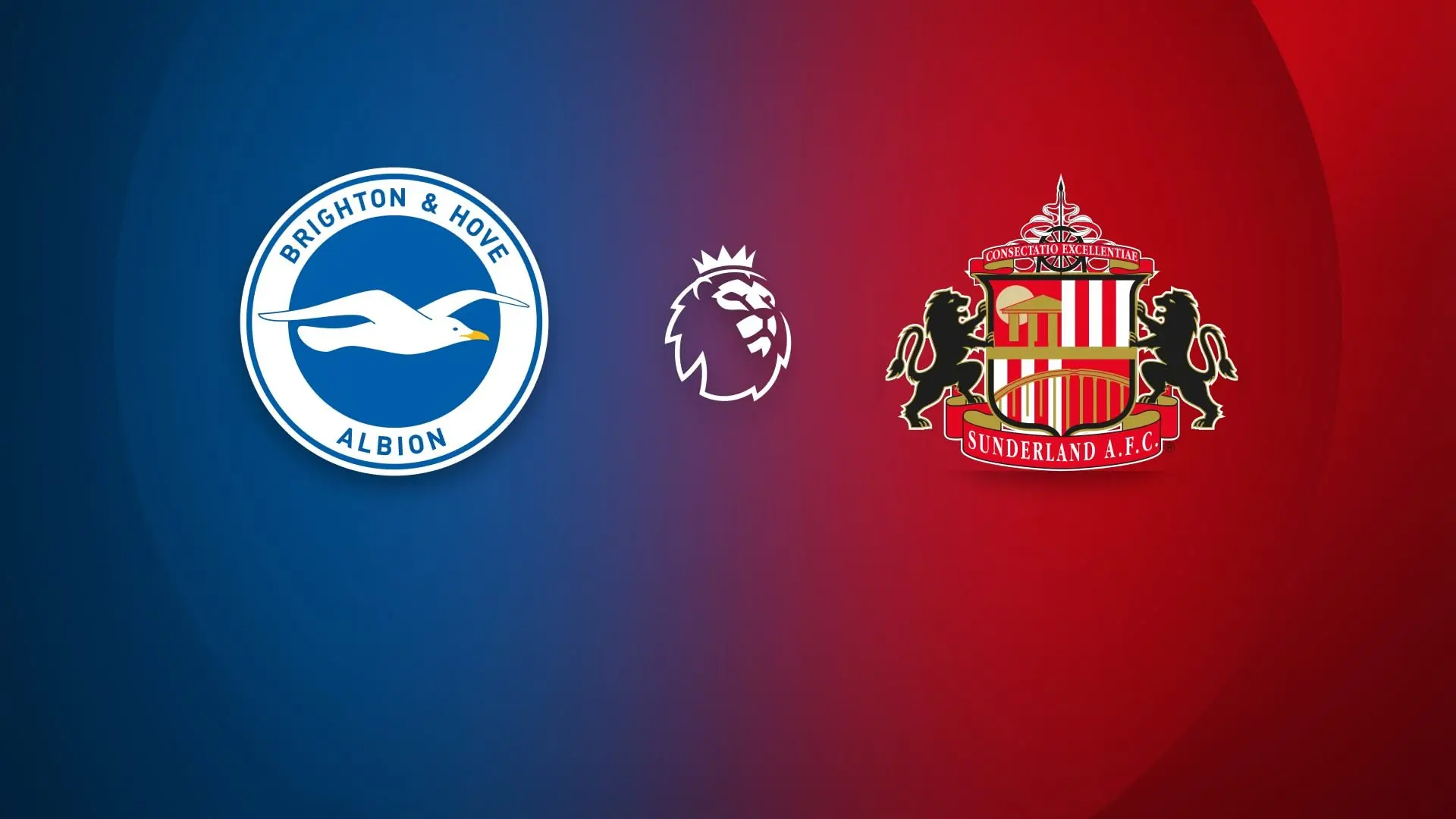 PusatFocus - Brighton vs Sunderland