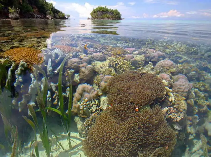 PusatFocus - Kepulauan Togean