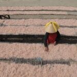 PusatFocus - La Nina Awal 2026
