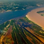 PusatFocus - Sungai Amazon