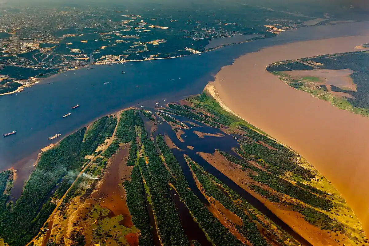 PusatFocus - Sungai Amazon