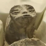PusatFocus - Foto Penemuan Alien Oleh NASA