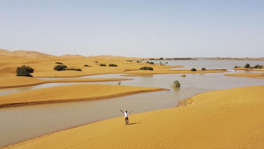 PusatFocus - Luas Gurun Sahara Terus Bertambah