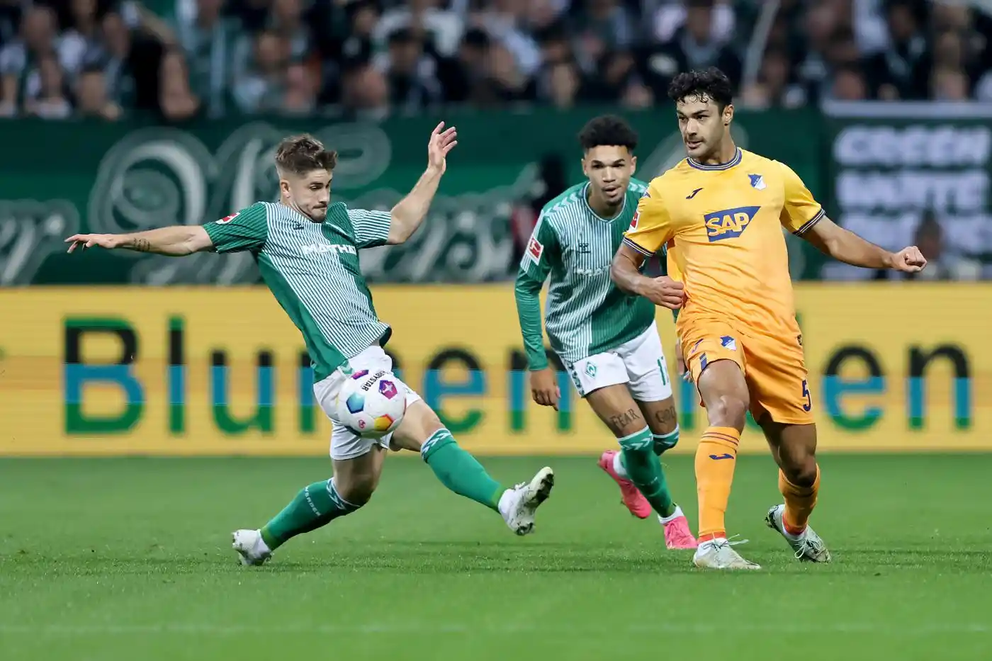 PusatFocus - Werder Bremen Vs Hoffenheim